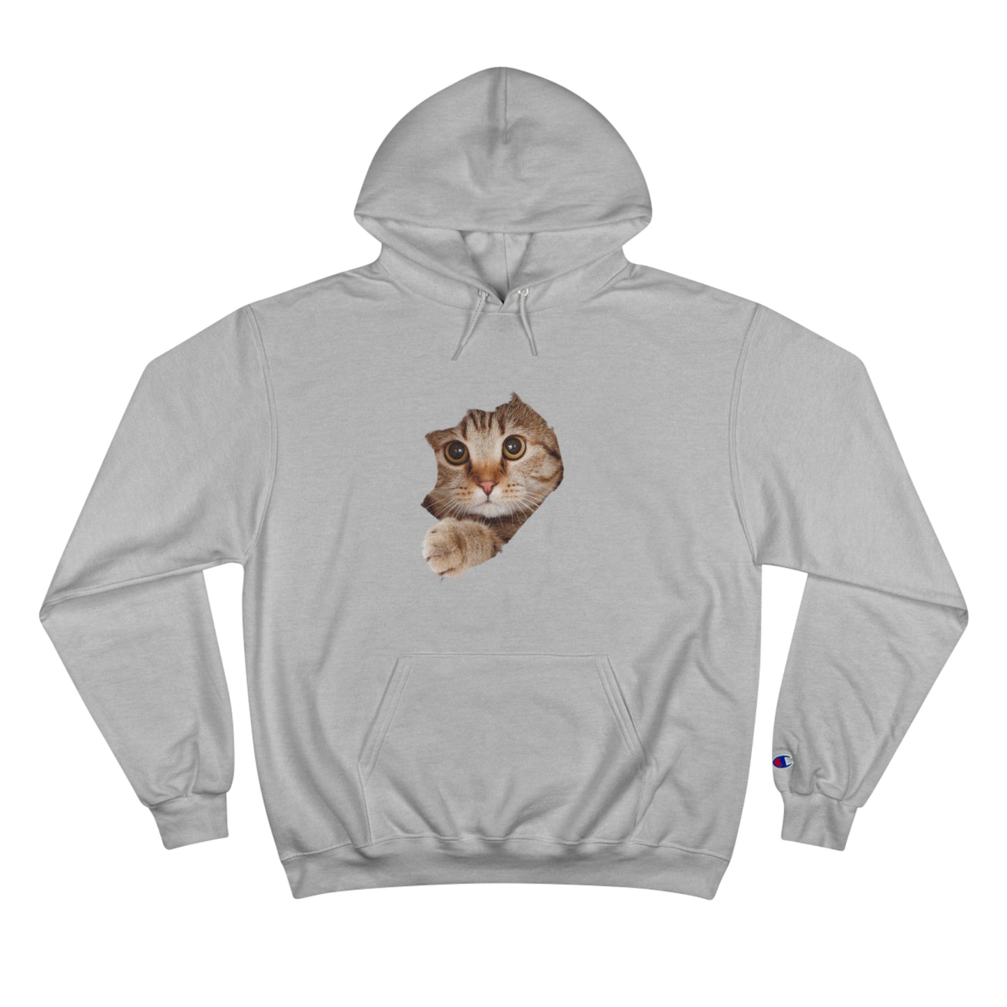 Cat lovers Hoodie