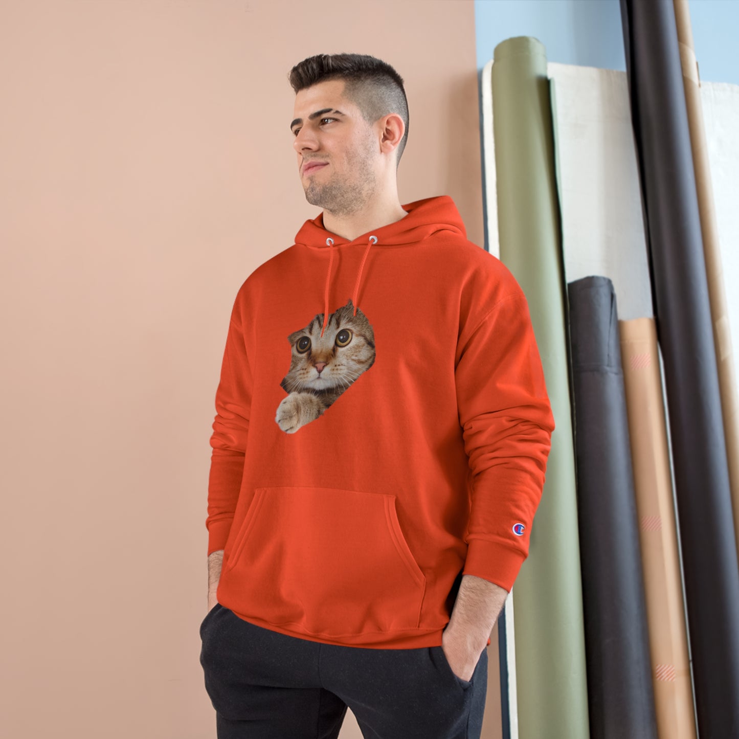 Cat lovers Hoodie