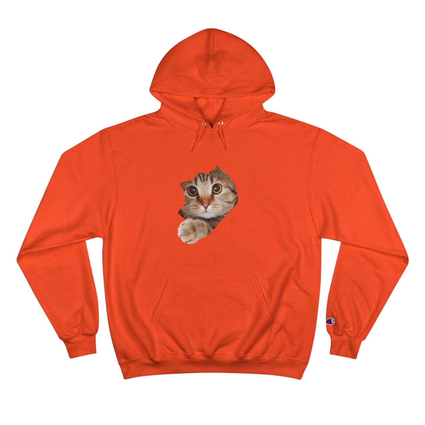 Cat lovers Hoodie